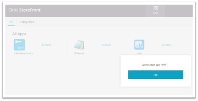 ice-citrix-app-issue